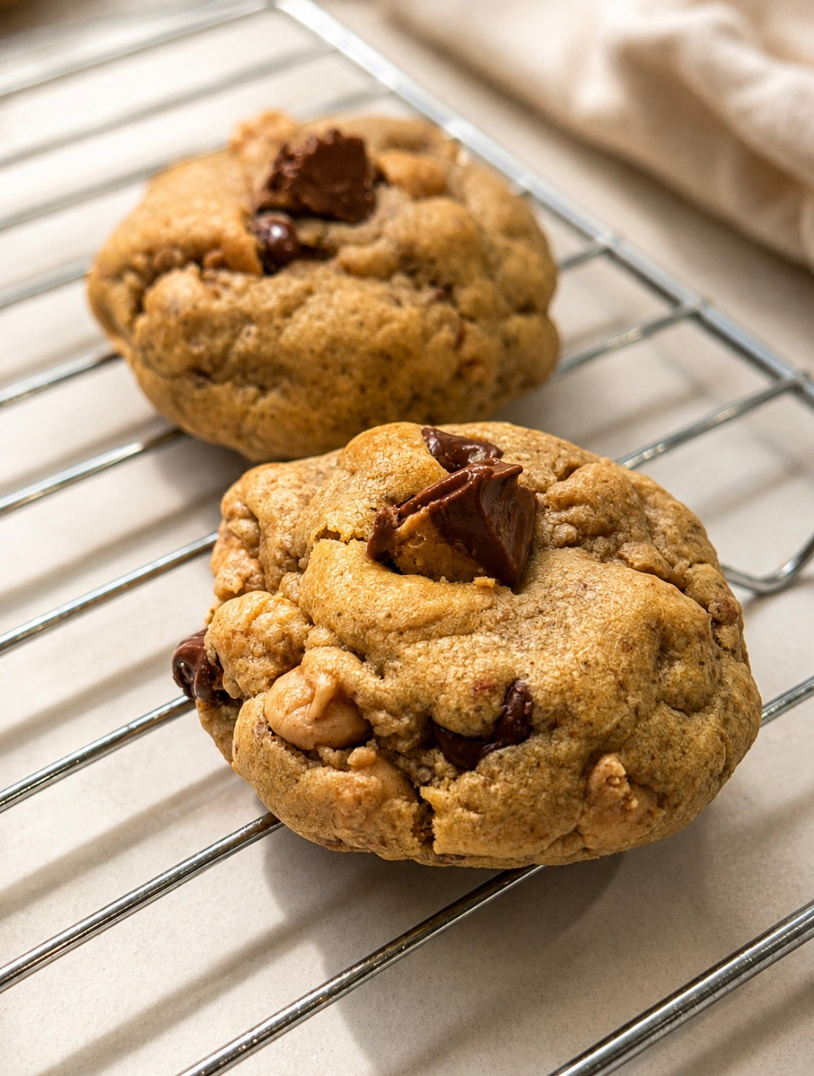 Peanut Butter Chocolate Chip